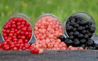 Stop Writing Mission Statements. Start Writing Messaging Pillars.